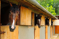 free Llanedeyrn stable construction quotes